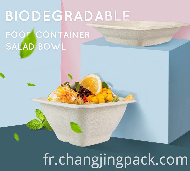  biodegradable plastic box